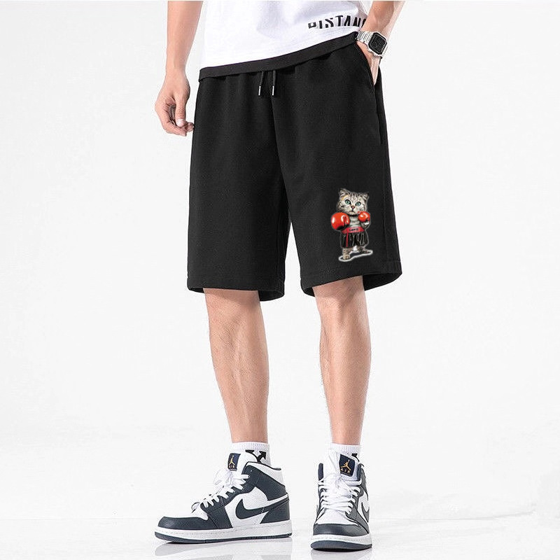 검은 권투 고양이