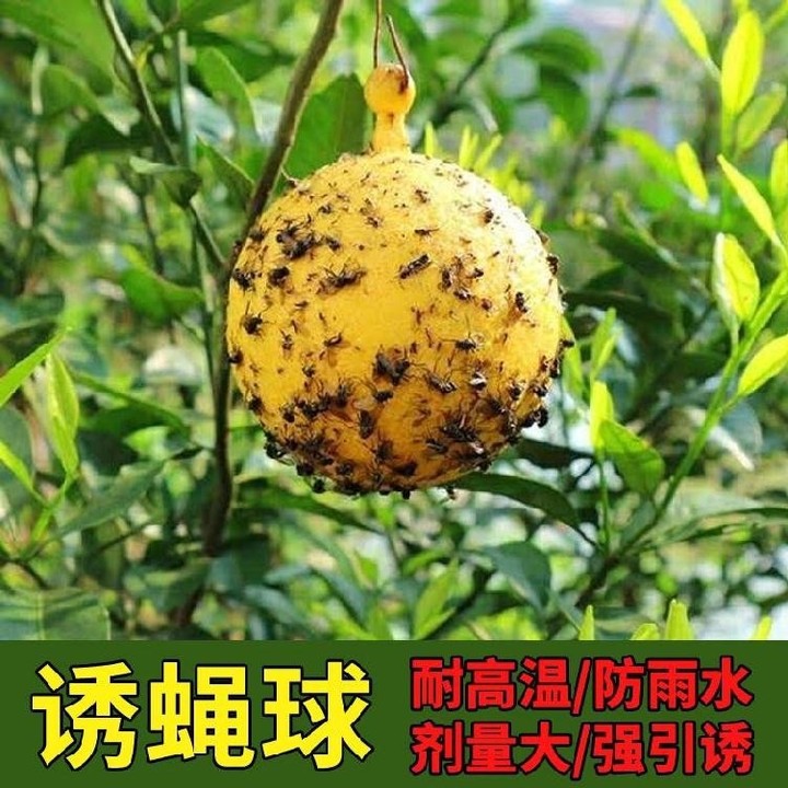 Fly Trap Ball for Fruit Flies, Fruit Flies, and Fruit Fly Balls; Fruit Shop Fruit Fly Stickers, Sticky Needle Bee Trap, Home Mosquito Repellent and Insecticide