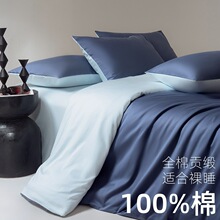高档A类全棉新疆长绒棉100支四件套 纯棉床单被套高密贡缎三件套