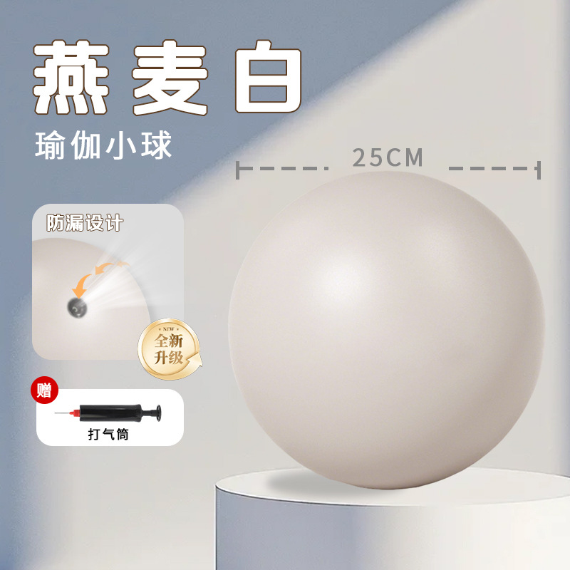 25cm 오트밀 화이트 업그레이드 버전 [필라테스 추천] (펌프/영상 강좌 증정)
