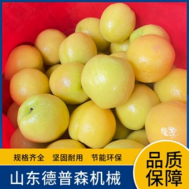 休闲食品加工;果蔬加工设备