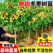 �������簫���޽��玧�����ͺ��ϱ���մ���������������ش�̖����