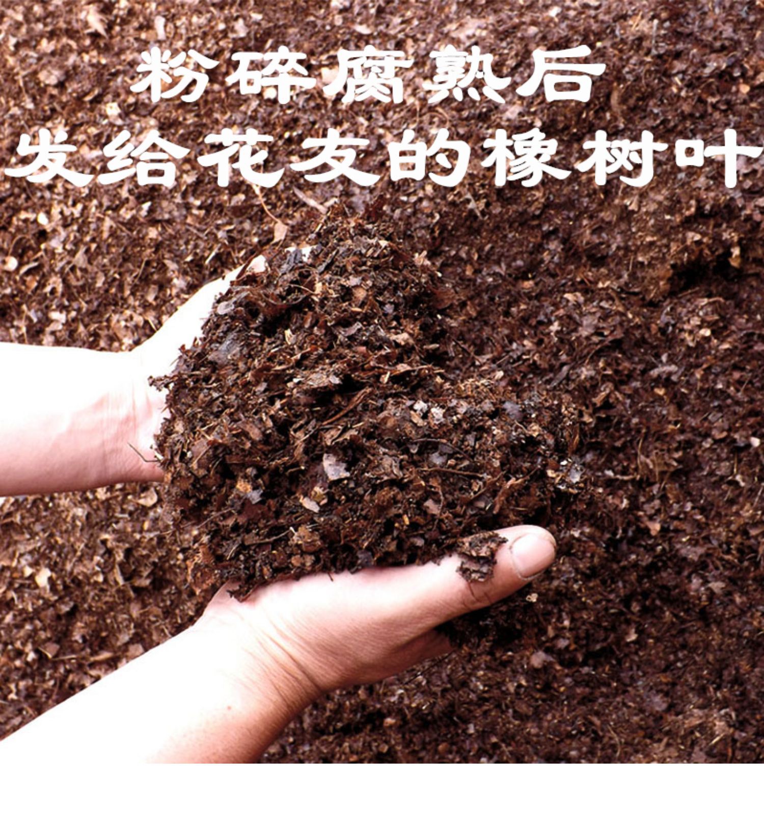 O1CN01NtZpTl2EE9UvNP2LC_!!2218234948712-