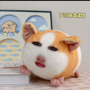 �i椒��ë�q��߸�ֺ��m�i��ż�ɰl������������նY����Ů��