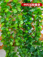 ٗlG}~٘~҃ȿ{ˮܵbp@ړϻG~