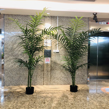 �¿��������������ֲ��������҃ȿ͏d����辰[������Gֲ