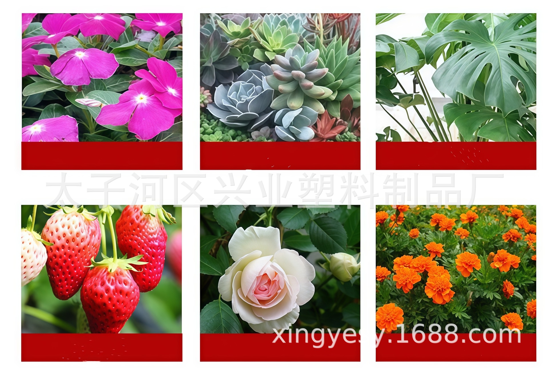 微信图片_20241227124544