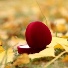 ��퍏S��ֱ�N�������ν�ָ�����荽�YƷ�Еr�����ֲ�q�Ʒ��