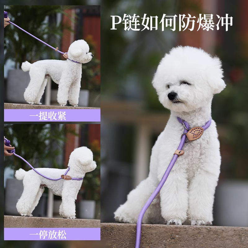 Perro de manejo suave para caminar cuerda de perro cadena P Corgi mascota entrenamiento a prueba de explosiones perro de cachorro cadena anti-perro