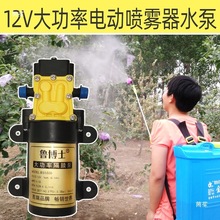 늄Ӈ��F��ˮ�ø߉�С��12V�R�_��Ĥ��늙C�r�ô�ș�C�����ȫ