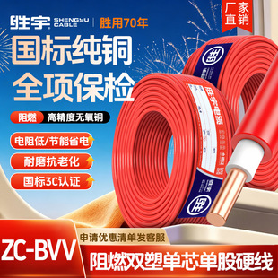 ������ȼZC-BVV���b늾�2.5 4 6 10ƽ���Դ��о�pƤ���~����늾�