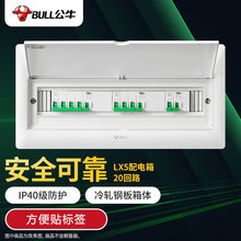 公牛 配电箱 20回路空开强电箱 家用终端配线箱白色盖板LX5-20s