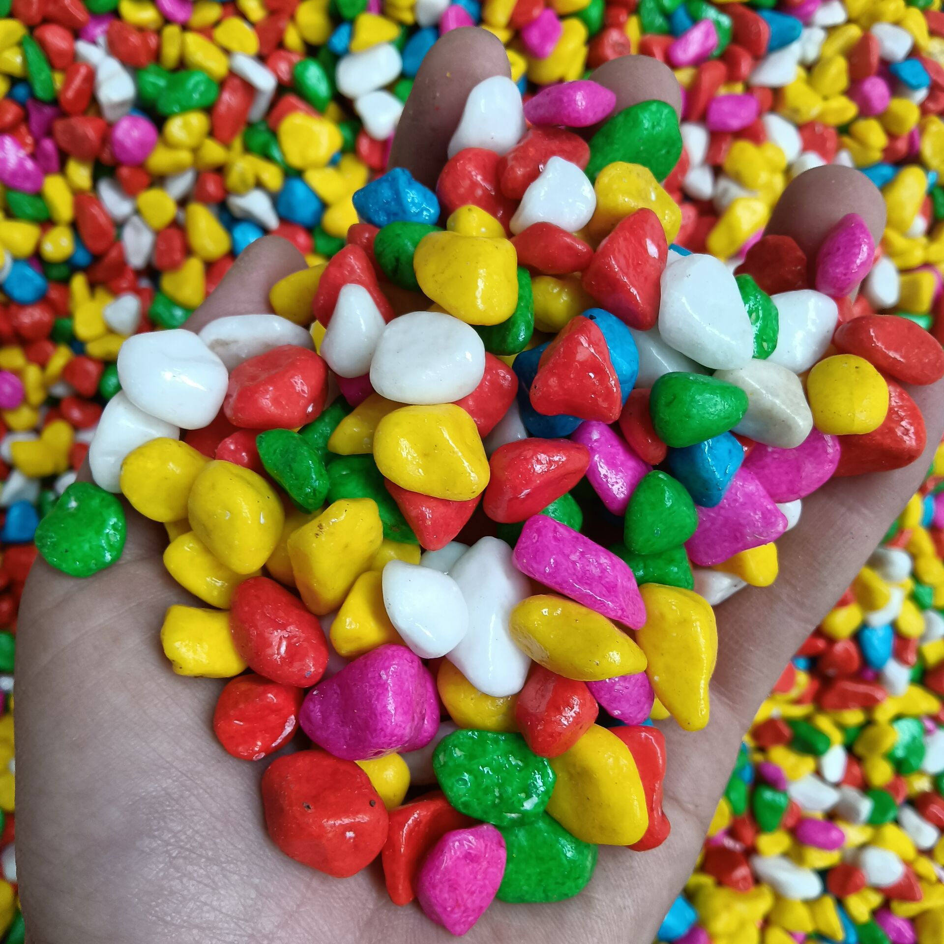 批发鱼缸五彩石 装饰彩石 微景观彩石 园艺彩石 花盆装饰五彩石