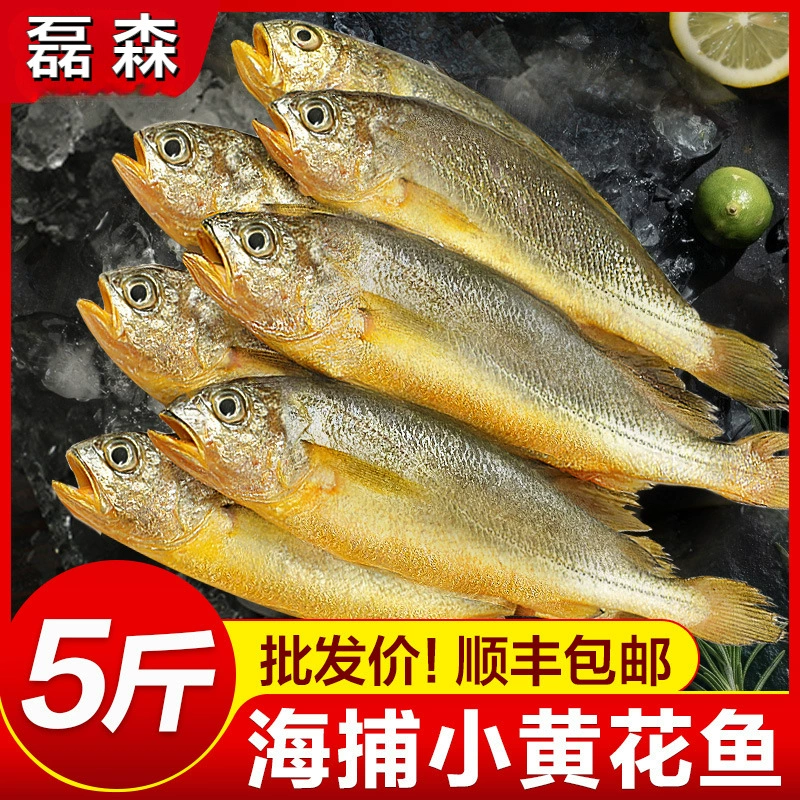 Свежезамороженный маленький желтый крокер 2.5kg BBQ большой желтый крокер Циндао свежая живая морская рыба морепродукты целая коробка коммерческая оптовая продажа