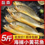 С�ƻ��������䶳5���տ�������ൺ���ʻ�㺣��������������