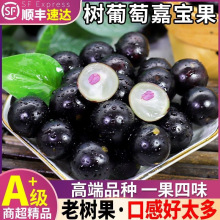 ����ɳ�ͼΌ������rˮ���������r���Fժ�F�l�������Ό�����Ҋ