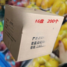 一次性水果托盘  深口泡沫托盘 箱包装蔬果生鲜打包盒