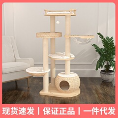 ハニーポット猫の巣は四季を通じて通用します。