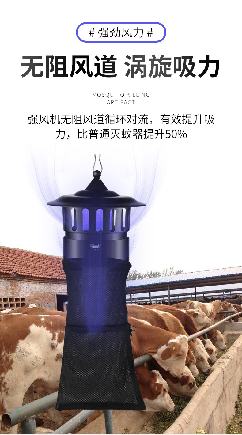 f3db23d6-1a8a-465b-9b70-034407b019f5.jpg