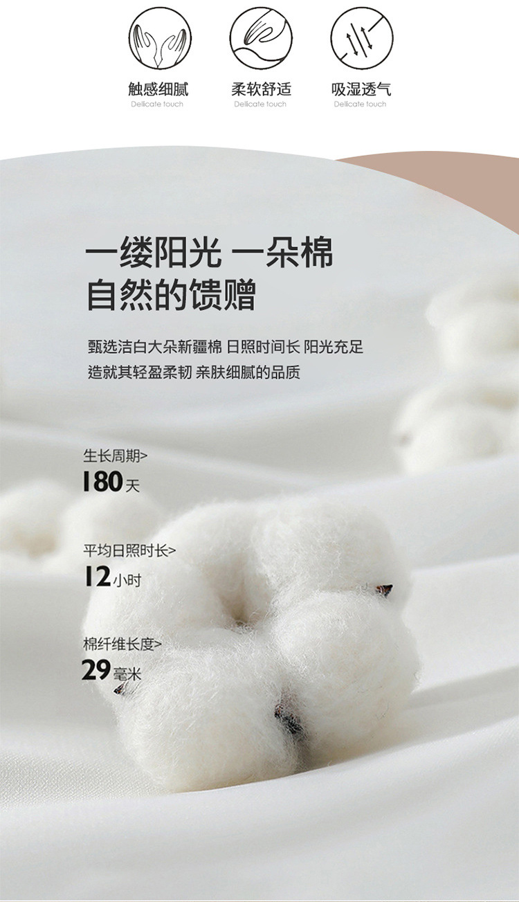 65b02a09-8d90-4957-a37c-a685c2f02e7b.jpe