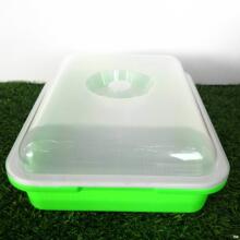 豆芽发芽盘家用无土栽培水培育苗盆小麦苗种植盘芽苗菜育苗盆批发