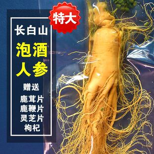 特大人参单支长白山鲜人参东北人椮叁人参泡酒用毛重100g250g350g-阿里巴巴