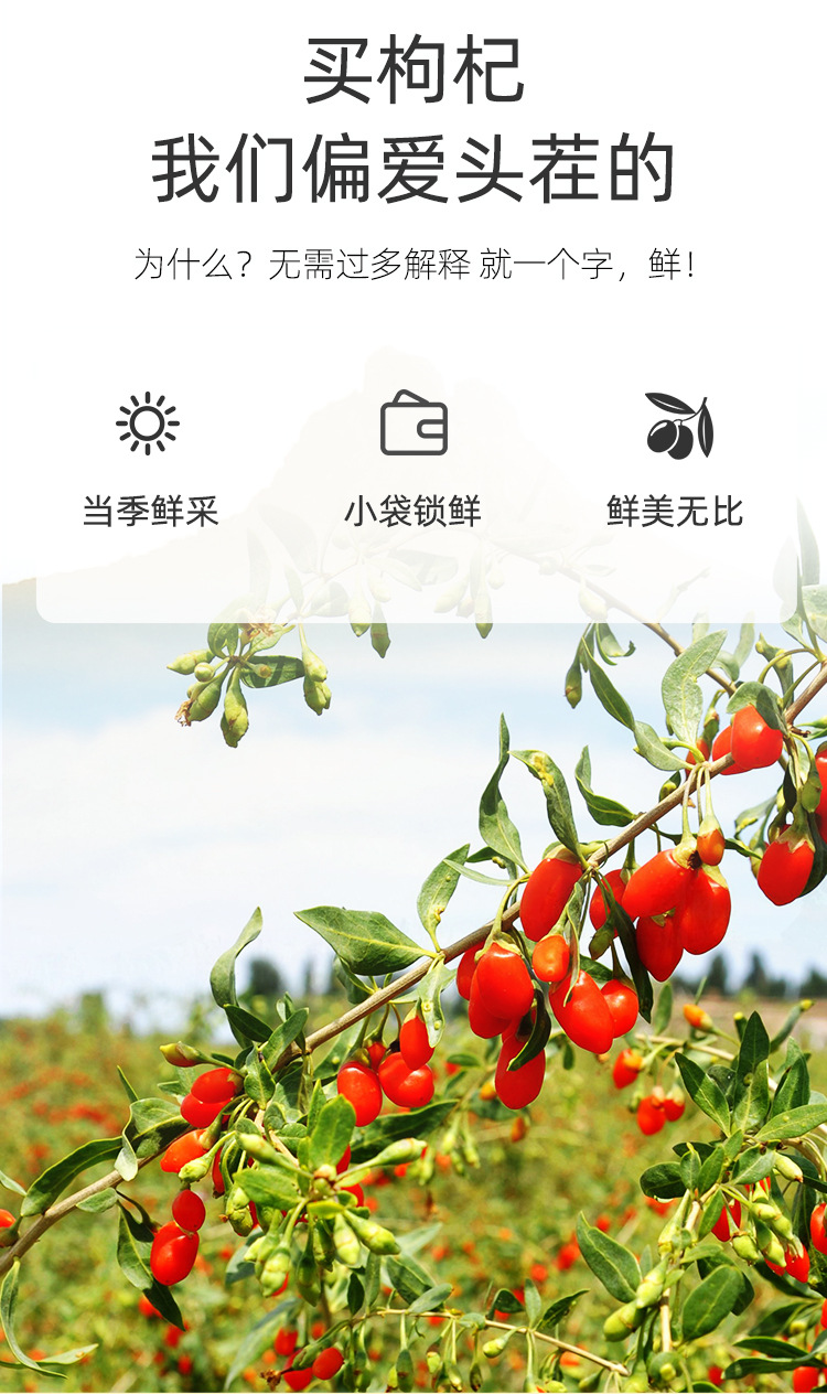 Premium First Harvest Goji Berries 200g Gift Box Individually Packed Ningxia Dried Wolfberry Ready to Eat key features