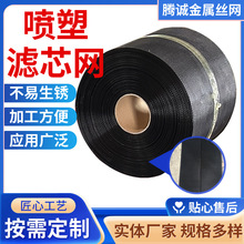 喷塑滤芯网 汽轮机滤芯内衬支撑工业用喷塑铁丝网黑色喷塑滤芯网