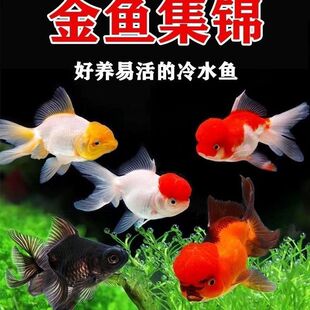 ���\���~���B�ͻ��^�p�~��ˮ�W�^���~�Q피t��ˮ�{���^��ؔ�����S