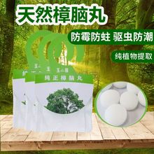 天然樟脑丸防虫防霉衣柜防潮香味芳香家用驱虫神器蟑螂挂式樟脑球