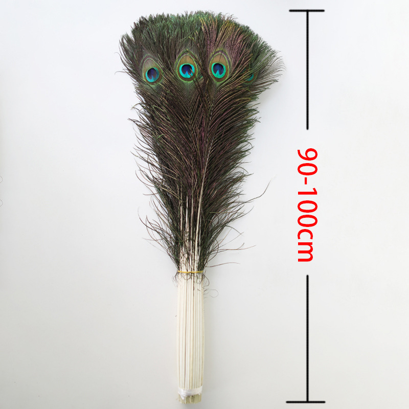 90-100.jpg