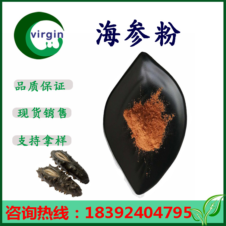 Shelf Sea Cucumber Powder Food grade Sea Cucumber Extract Water solubility high quality natural sea cucumber Extract