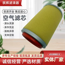 空气滤清器;其他滤清器;汽车滤芯