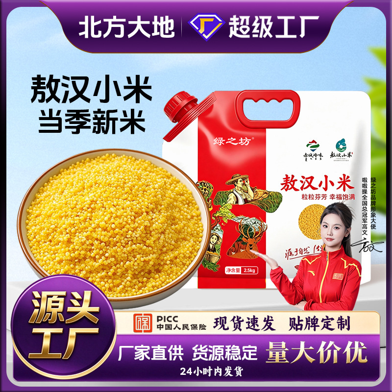 New Seasonal Rice: Authentic Chifeng Aohan Yellow Millet, Farm-Produced Whole Grains and Cereals, Main Food for Porridge, Wholesale and Customized Rice