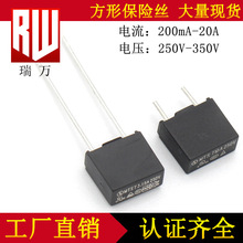 ���α���˿ MTS 1.25A|1.6A|2A|2.5A|3.15A 250V|300V|350V����˿