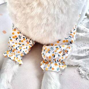 ?�����oϥ�д���Ȯ��ë�_Ħ�P����ĥ���K���o�׌���ǰ�������o��