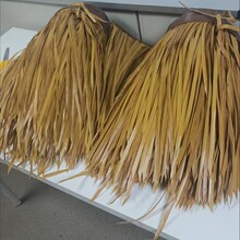 �������é��������ٵ�����ȼ����ë��é�����r�Ҙ��e���݉�����