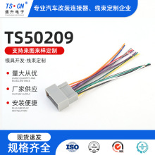 TS50209��܇����ϵ�І��^���Ӿ���Ӳ�ɫ�ž����^���Ӿ� �B�Ӿ�