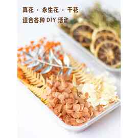 永生风干花DIY手工原材料包浮游滴胶混装礼盒森系沙龙幼儿园装饰