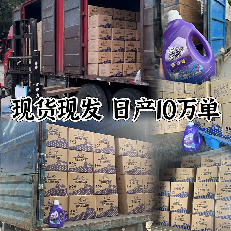 ラベンダー洗濯洗剤 2kg フルボックスバッチ家庭用長期持続香り除染メーカー在庫卸売 1.0kg 組み合わせパック|undefined
