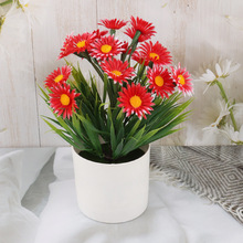 ֲ ٻ 辰СҾb[Сuշ滨