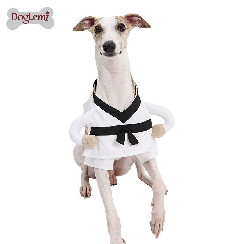 Костюм для трансформации боевых искусств для домашних животных, креативная забавная персонализированная забавная одежда для собак, одежда для Хэллоуина, одежда для кошек и собак