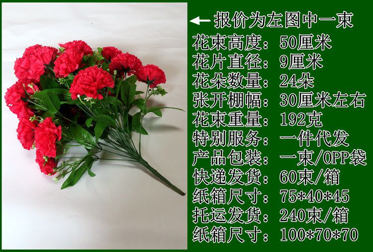 24头康乃馨产品介绍1.jpg