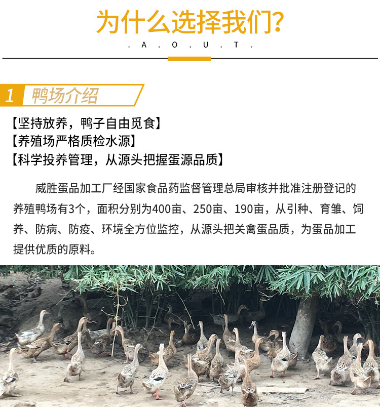 金奇香批发零售_05