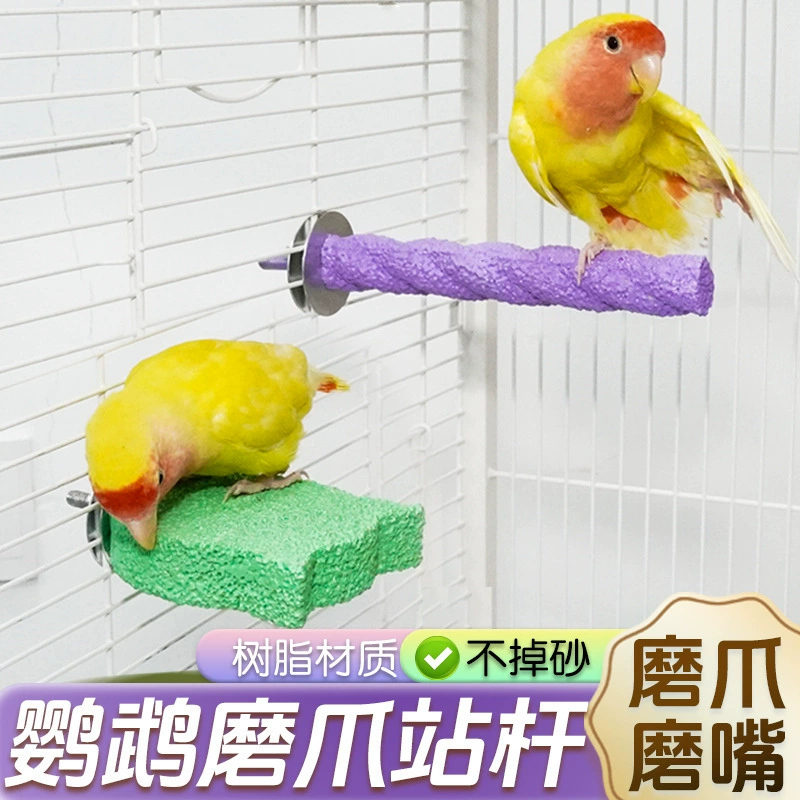 Платформа для чистки мороженого с попугаем, подставка, шлифовальная палочка для когтей, шлифовальная машина для клюва, тигровая кожа, пион, маленькая солнечная специальная игрушка, шлифовальный камень для ног