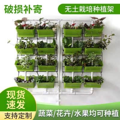Rongcheng Agriculture Soilless cultivation three-dimensional Matrix Flowers Vegetables Botany Water Cycle plant Overhead Garden