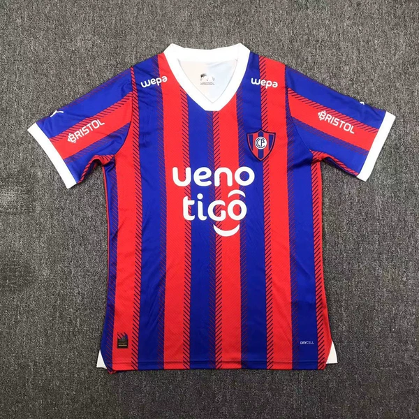 2425 Cerro Porteno home