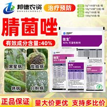 �Ƶ��A ����40%������������׷�̿�Һ��ǲ��P�������rș������