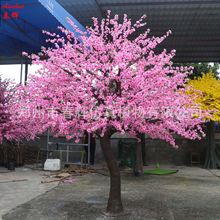 ϷһbͲSl̈bٻ䶨