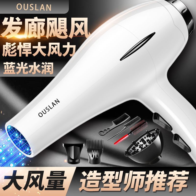 Hair Dryer Household Quick-Drying Hair Salon High-Power Hair Dryer Barber Shop Negative Ion Hot and Cold Hair Dryer Silent and Durable